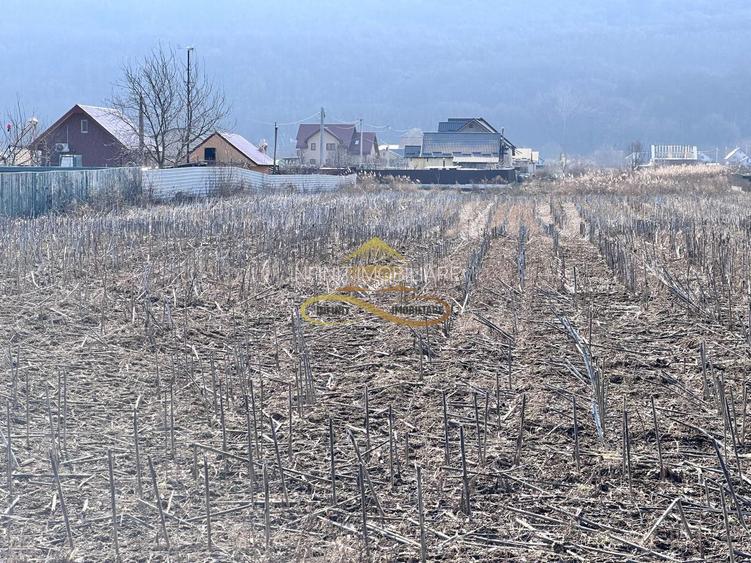 De vanzare teren intravilan Hemeius Bacau - 3