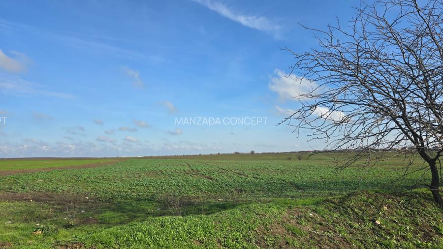 Teren intravilan 20.000 mp – Comuna Fundeni - 5