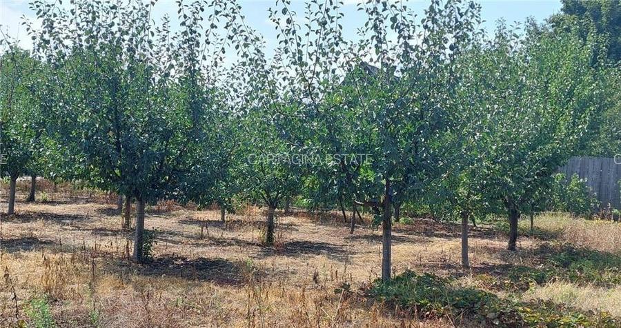 Teren intrvilan Pipera   Oxford   Teisani   1326mp    fs 34ml - 4