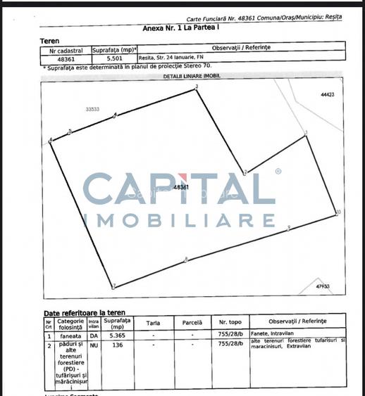 Teren intravilan pe drumul Lupacului 12 euro mp, 13782 mp si 1069 mp extravilan - 2