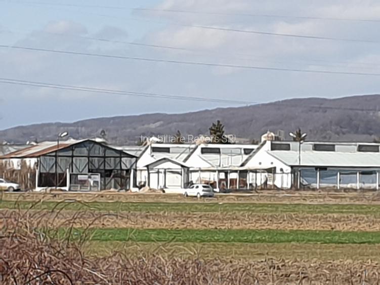 TEREN AGRICOL BABENI LANGA ABATOR LA PROVINCIA - pretabil ferma cu panour solare - 27