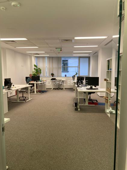 Spatiu 250 mp in cladire birouri Str. Semilunei DOAR ORAR DE SEARA SI NOAPTEA - 36