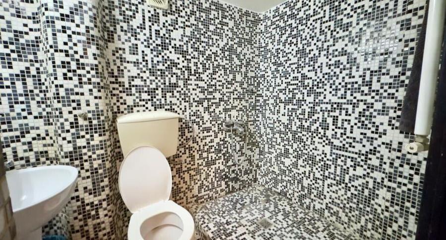 Apartament 4 camere Vasile Lascar - 3