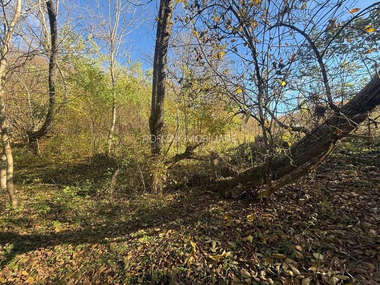 Teren langa pădure 6400mp+casa demolabila-deschidere 35 ml - 12