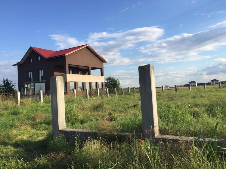 Teren intravilan in comuna Domnesti - sat Teghes - 6