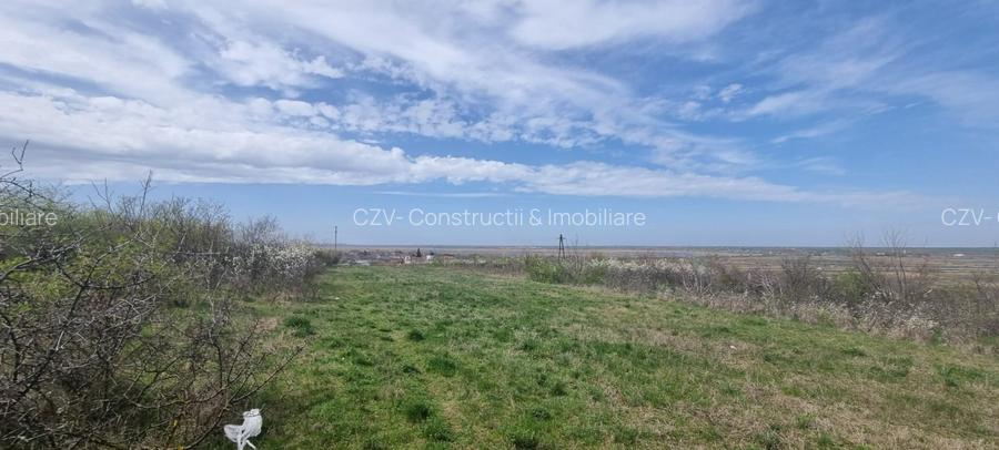 Teren cu vedere la Delta Neajlov - 3