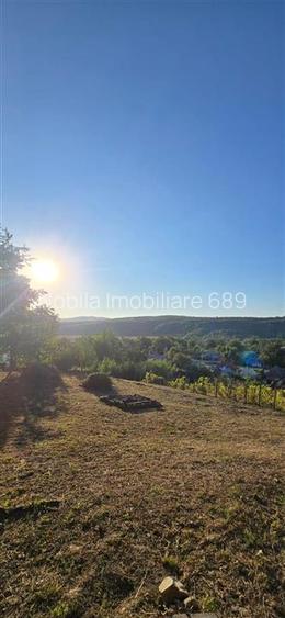 Teren intravilan + extravilan 10.537 mp – casa, livada sau ferma de familie - 11