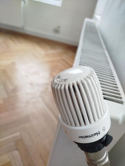 Libera spatiu mare si parcare in vila cu prestanta in locatie eleganta Pache !!! - 8