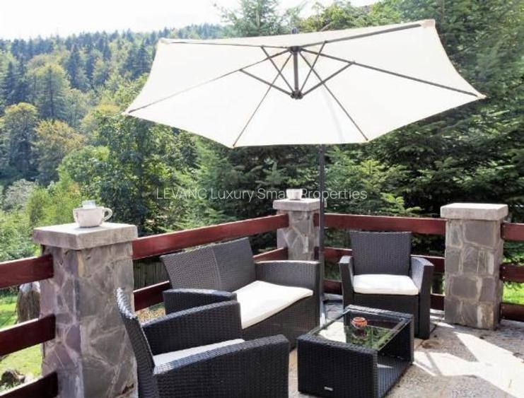 PENSIUNE 12 CAMERE - ELEGANTA SI CONFORT - 3