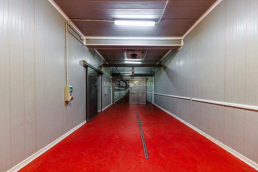 Hala depozitare, Dumbravița Timis, 1285 mp, Farma GDP Medical Cosmetice 6000 Eur - 9