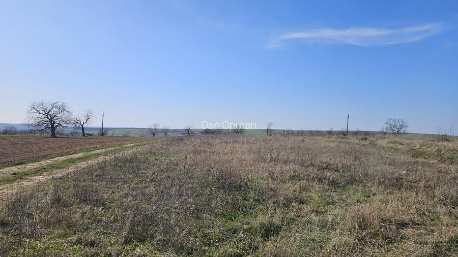 Teren intravilan panoramic 6700 mp – ideal vilă premium – aproape de Oradea - 2