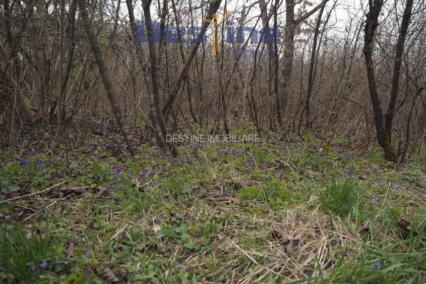 VAND CASA DEMOLABILA+6700 MP TEREN,PRIVELISTE PANORAMICA,DEJ - 6