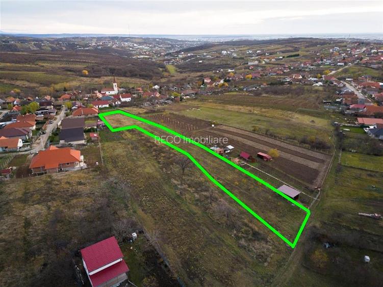 RECO . Teren intravilan Saldabagiu de munte . - 7