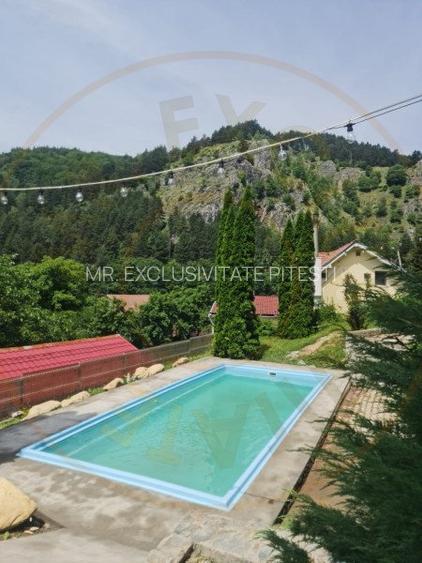 VANZARE / SCHIMB  PENSIUNE in zona de munte, langa Pestera Muierilor - 7