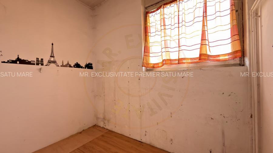 Inchiriere Cladire Productie, Depozitare 278 mp -Teren 1380 mp - Carei  - 16