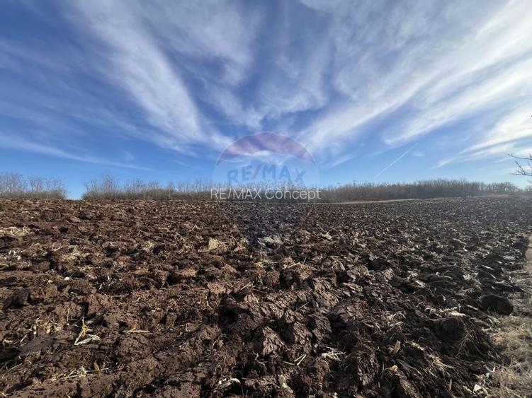 Teren intravilan Bădeni, central - 4