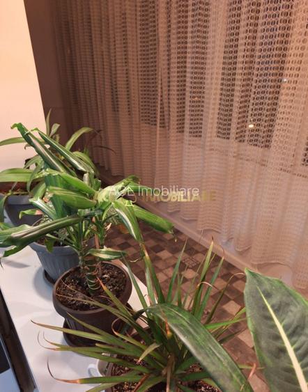 2 Camere de inchiriat | Gorjului | Metrou | Gata de mutare - 8