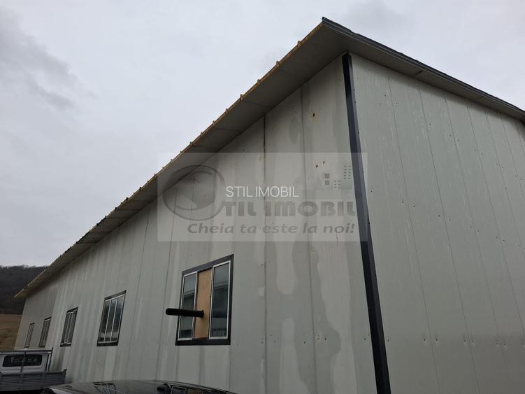 Hala de inchiriere 596 mp str. Trei Fantani - 6