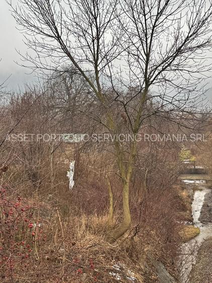 teren intravilan - Piatra Neamt - Sarata - 9