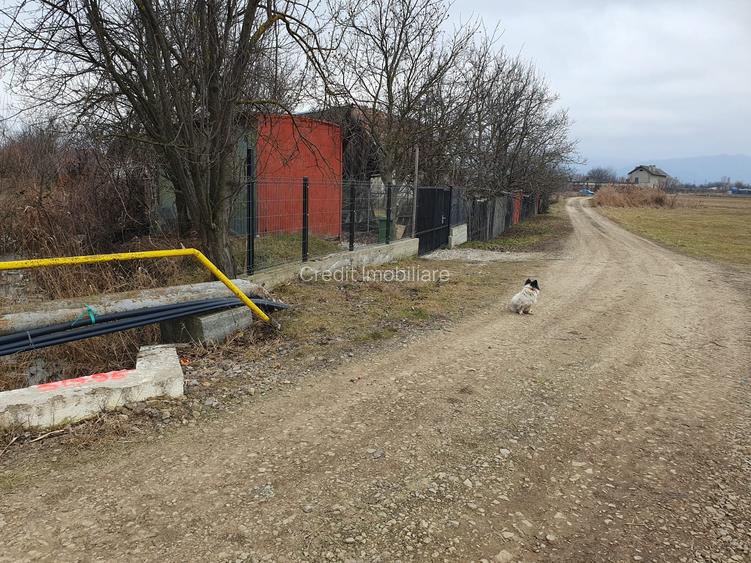 Terem de vanzare Supini - 3