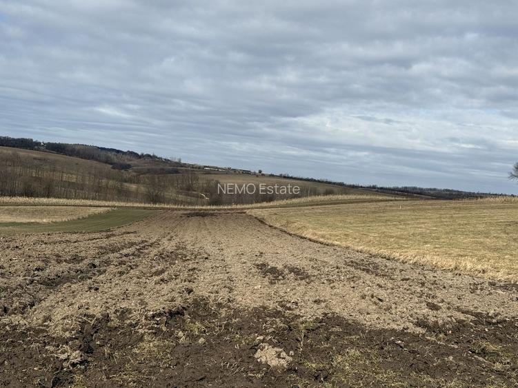 Teren intravilan | 16 ari | Horodnic de Jos – zona Călugărița - 2