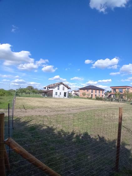 IMODIVERS-- 903mp, Dumbravita-Mures, 125E/mp - 6