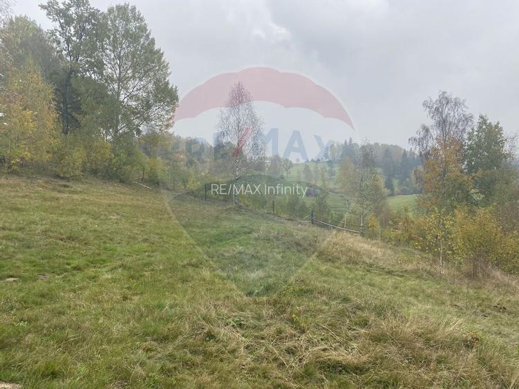 Teren de vanzare 8119 mp Calatele Padure.Muntii Apuseni - 16