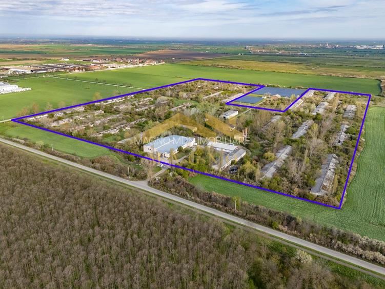 Hale industriale de vânzare – Arad, zona Exterior Vest / Calea Bodrog - 4