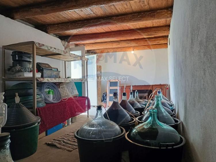 Vânzare casa la munte - zona turistica - Baia de Fier - 10