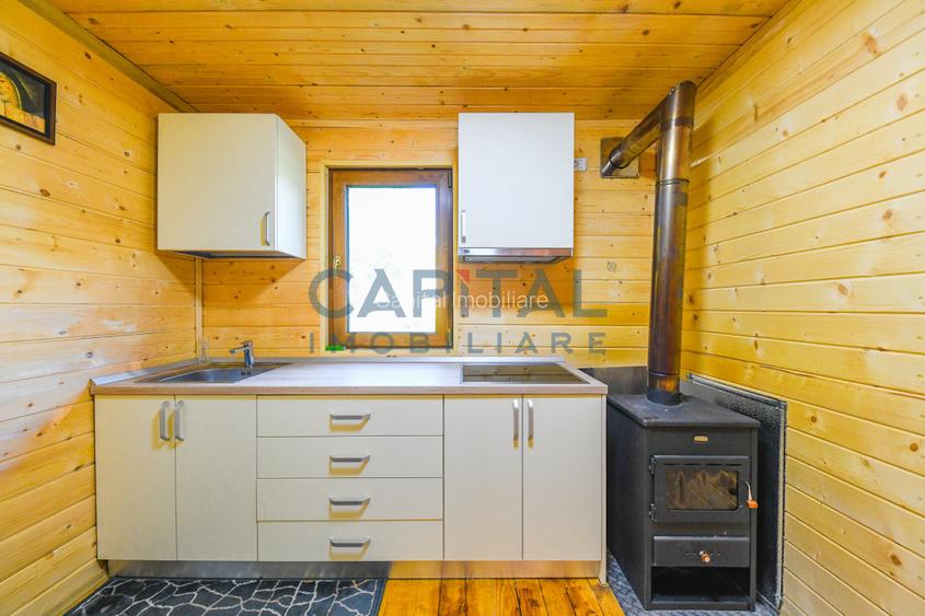 Casa cu teren de 3100 mp de vanzare in comuna Cornesti - 11