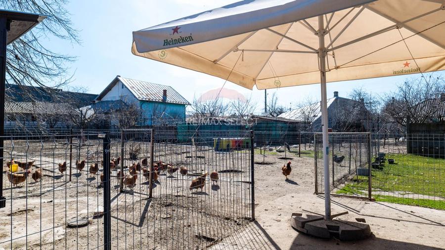 Afumati - vanzare casa si anexe cu teren intravilan, suprafata 700 mp - 27