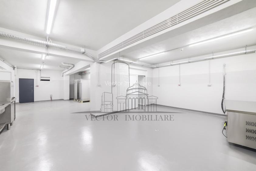  S+P+2+terasa,2020,curte proprie,2 intrari,Birou/Rezidential/Comercial, 940 mpu - 15