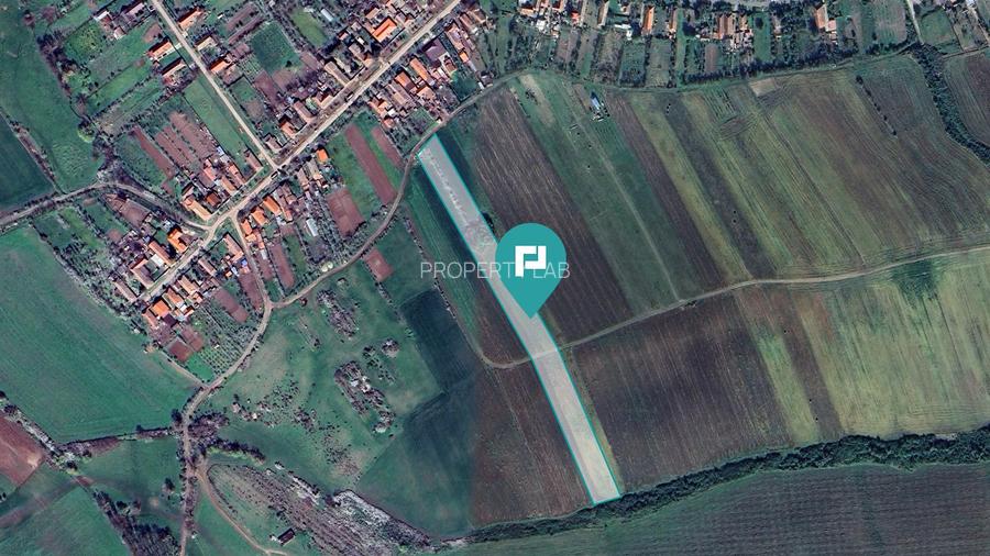 TEREN REMETEA MICĂ, JUDEȚUL TIMIȘ - 4
