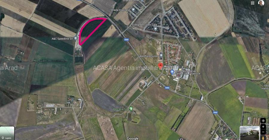 Teren de vânzare 3 ha in Arad - 4
