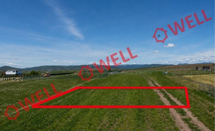 De vânzare teren intravilan în Baraolt, pe strada Baróti Szabó Dávid! - 5