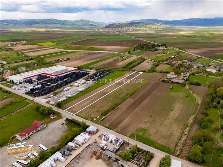 FILM! 5.000 mp teren, la marginea orasului Targu Secuiesc, aria industriala - 4