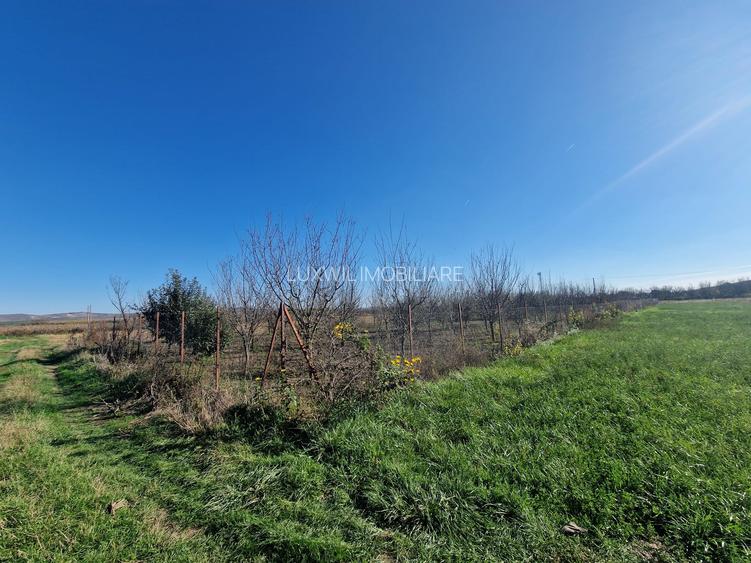 Vanzare teren în localitatea Răscruci - 4