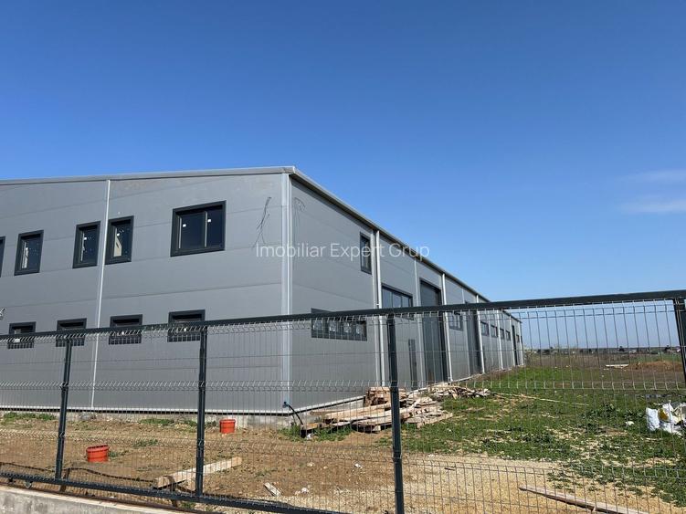 Spatiu depozitare si productie Chitila - 3