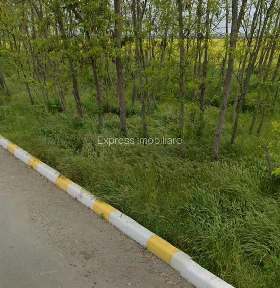 Teren ieftin în Valu lui Traian! - 2