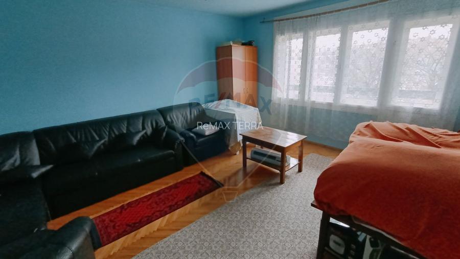 CASA + Casuta - DE VANZARE in Baia Sprie - 7