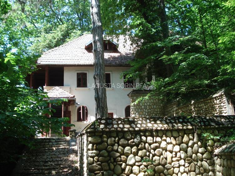 Conac istoric clasa B, 13 ha teren, valoare istorica - 2