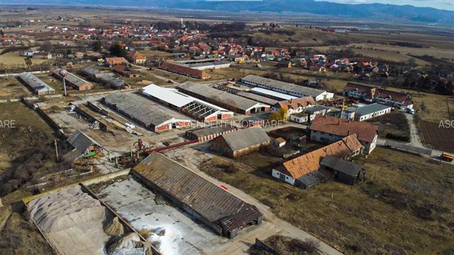 FILM! Complex agrozootehnic cu traditie, echipat + pretios potential multiplu - 20