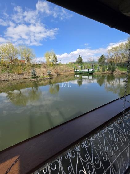 Vând teren cu iaz și livadă de nuci – Ilișești, aproape de Suceava - 13