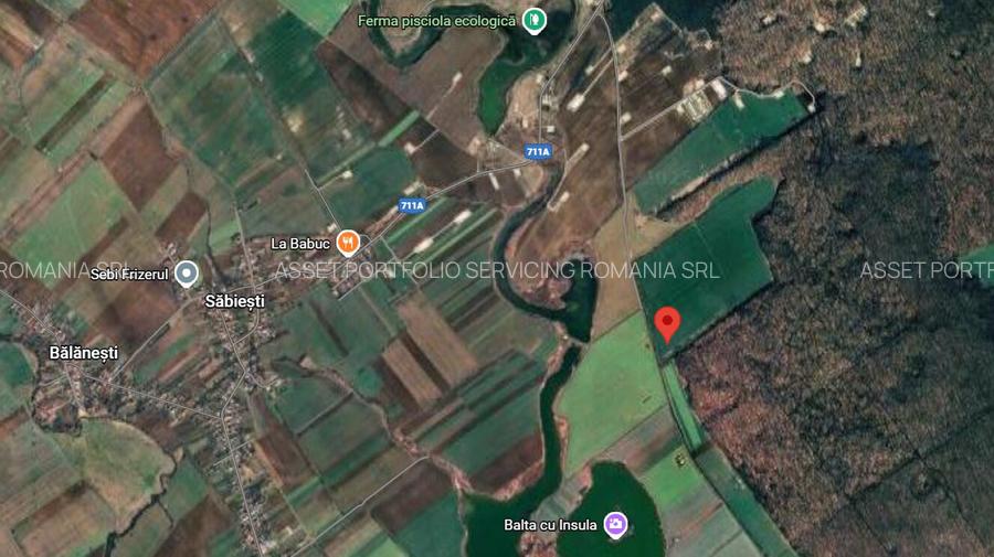 3 loturi de teren langa padure langa lacul Colacu, Dambovita - 3