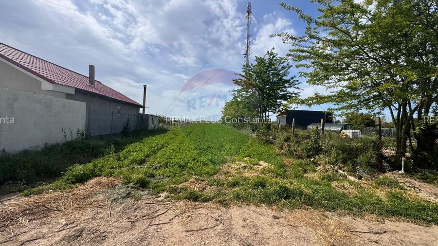 Teren Intravilan de vanzare 800 mp Valea Dacilor Medgidia - 5