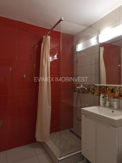 Decebal 3 Camere Decomandat Pet Friendly - 12