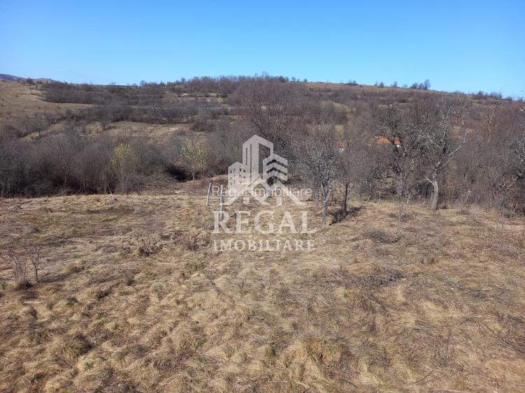 Două case de vânzare – Cerisor – teren generos 6996 mp - 15