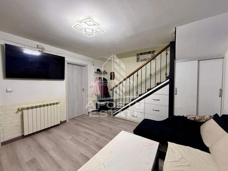 Doua apartamente la curte comuna separata, zona Timocului, Timisoata - 6