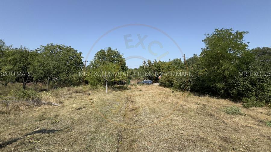 De vanzare Teren extravilan 2000 mp Carei - Gradina Viilor, Valea Tireamului - 3