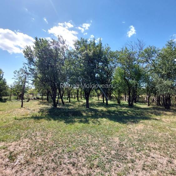 Vând casa locuibila in Polovragi, Gorj - 3